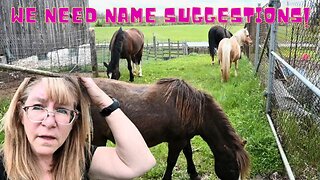 You WONT Believe What I BOUGHT!