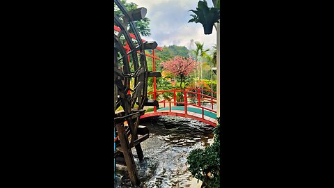 Chiang Mai, Thailand