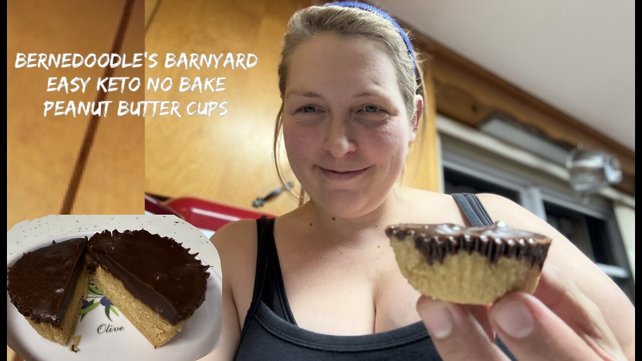 Easy Homemade Keto No Bake Peanut Butter Cups VLOG#062