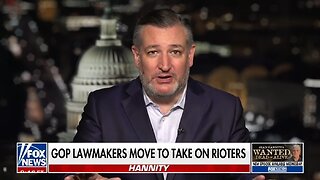 Sen Ted Cruz: It's Time To Go After Those Funding Riots