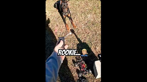Doberman RC Chase Begins! Part 1/5🐾⚡️ Vader Waits Patiently for the Battery Rookie
