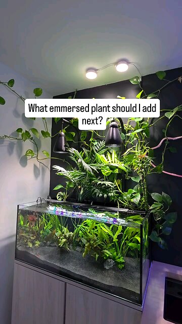 need more 2-3 again mebey