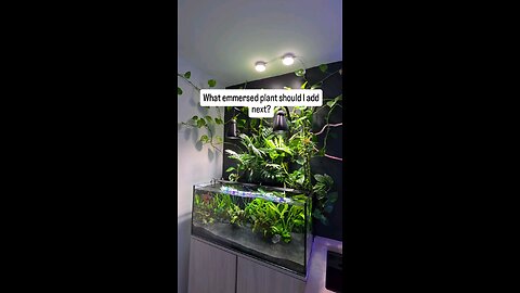 need more 2-3 again mebey