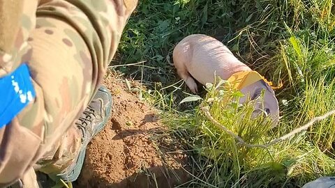 "French Soldiers Mock Macron in Satirical Pig Costume Video From Ukraine"