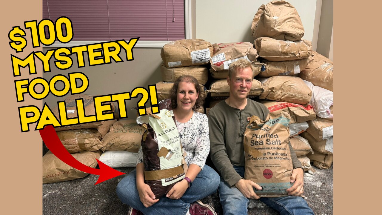 Unboxing a $100 Mystery Food Pallet — This Was CRAZY!”