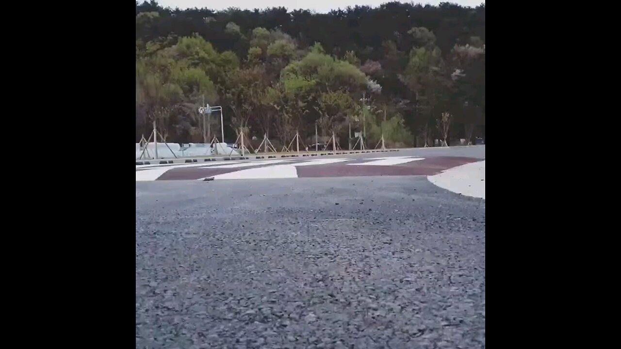 신나게~~