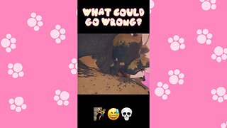 “You Just Jump, Grab On…” 🧗‍♀️