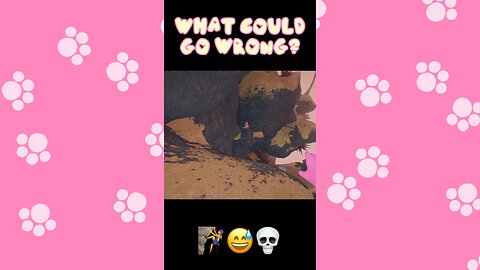 “You Just Jump, Grab On…” 🧗‍♀️