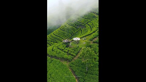 Diyanagala view point Badulla