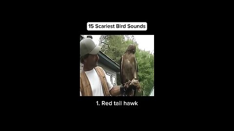 15 scariest bird sound