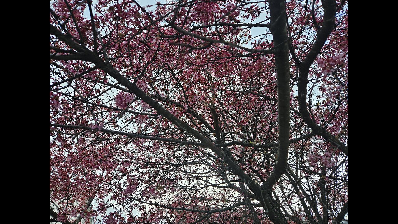 GOD IS WE THE PEOPLE