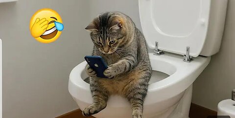 Pet Fails: When Cute Goes Wrong