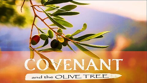 Are We in the New Covenant and the Olive Tree