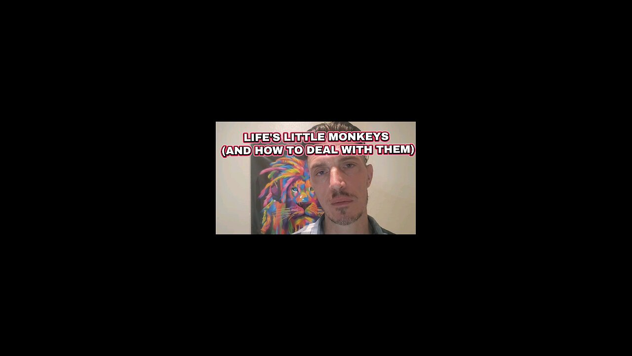 Life's Little Monkeys And How To Deal With Them!!!!