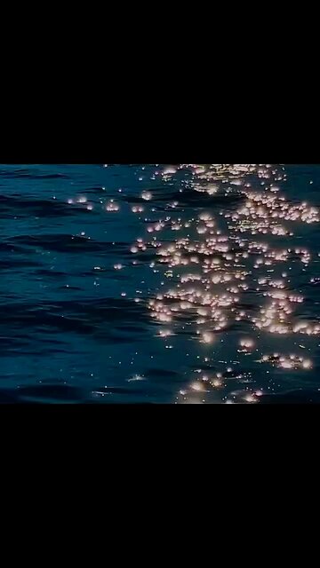 We need to search for the righ path.Islam is the right way #islamic #islam #quran #muslims #القران