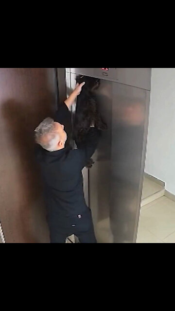 Un hombre rescata con RCP a un perro en el último momento