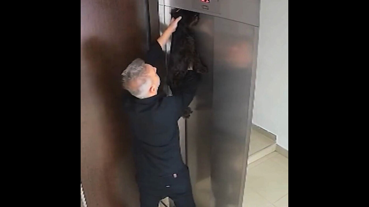 Un hombre rescata con RCP a un perro en el último momento