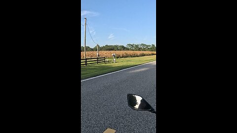 What Riding a Motorcycle Does to Your Brain 🧠💨 (Part 1)