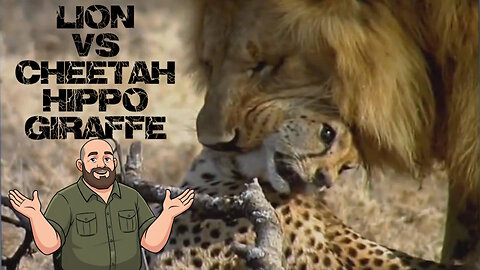 This Hippo Takedown Will Shock You - A Takedown Breakdown