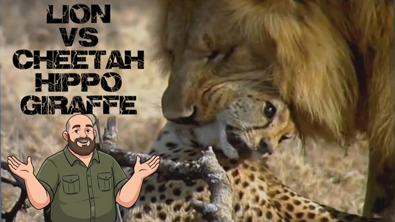 This Hippo Takedown Will Shock You - A Takedown Breakdown
