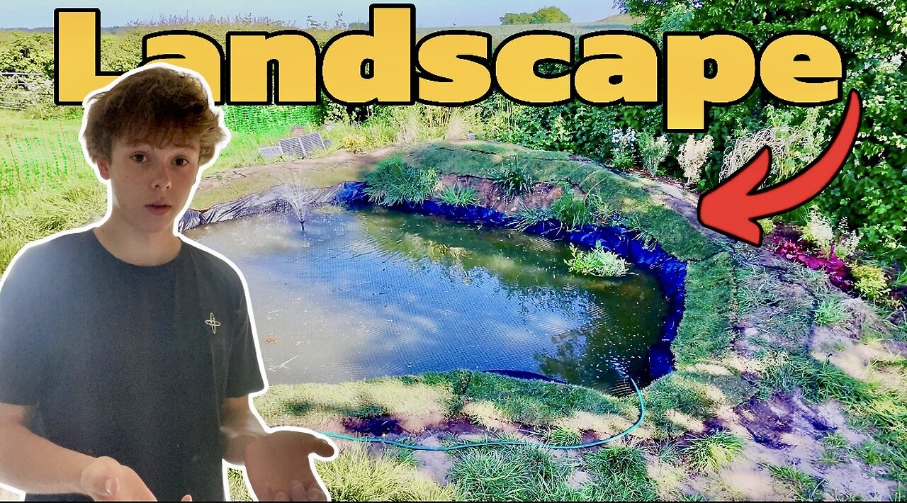 Landscaping Big Backyard Pond!