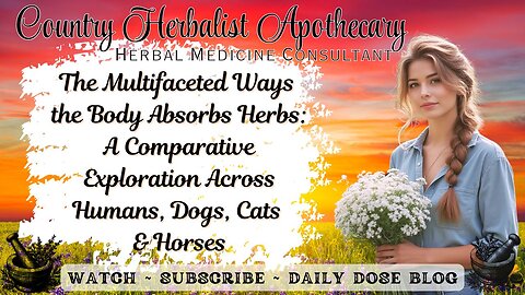 The Multifaceted Ways the Body Absorbs Herbs: An Exploration Across Humans, Dogs, Cats & Horses