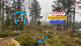 Skogpod 6. november 2025