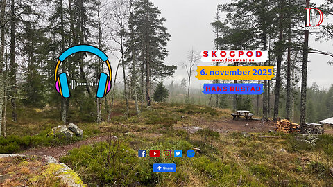 Skogpod 6. november 2025
