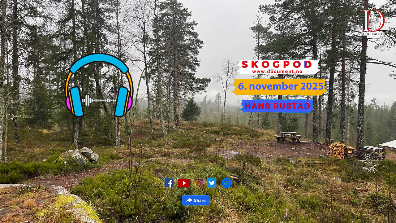 Skogpod 6. november 2025