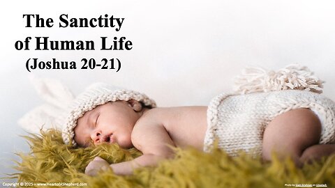 The Sacredness of Human Life (Joshua 20-21) A daily Bible study from www.HeartofAShepherd.com.