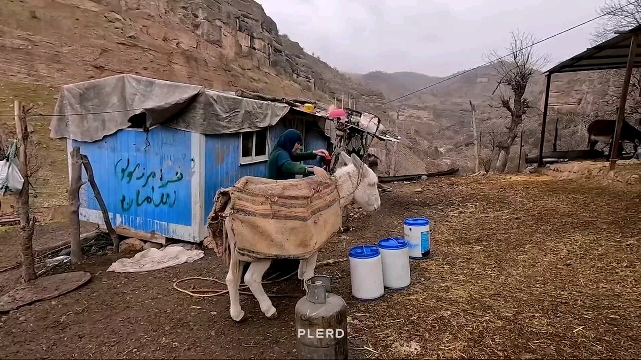 life in the nomads as the nomadic woman brings water from the river.