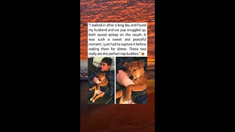 Man And Pup Share The Sweetest Nap