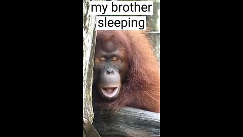 my brother sleeping