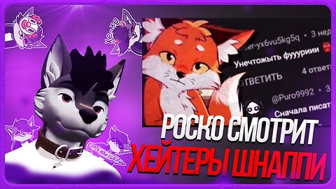 🐺 Роско смотрит Шнапишнафт - ГЛУПЫЕ комментарии ФУРРИ ХЕЙТЕРОВ