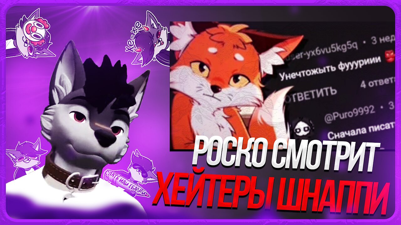 🐺 Роско смотрит Шнапишнафт - ГЛУПЫЕ комментарии ФУРРИ ХЕЙТЕРОВ