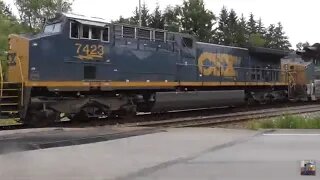 What Makes These FREIGHT TRAINS So Unique?