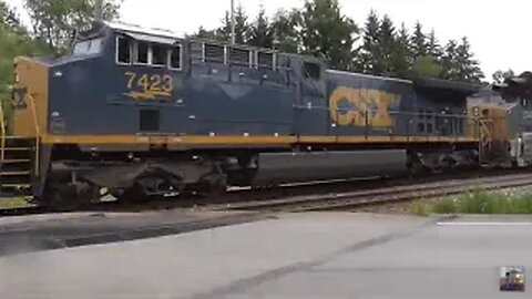 What Makes These FREIGHT TRAINS So Unique?