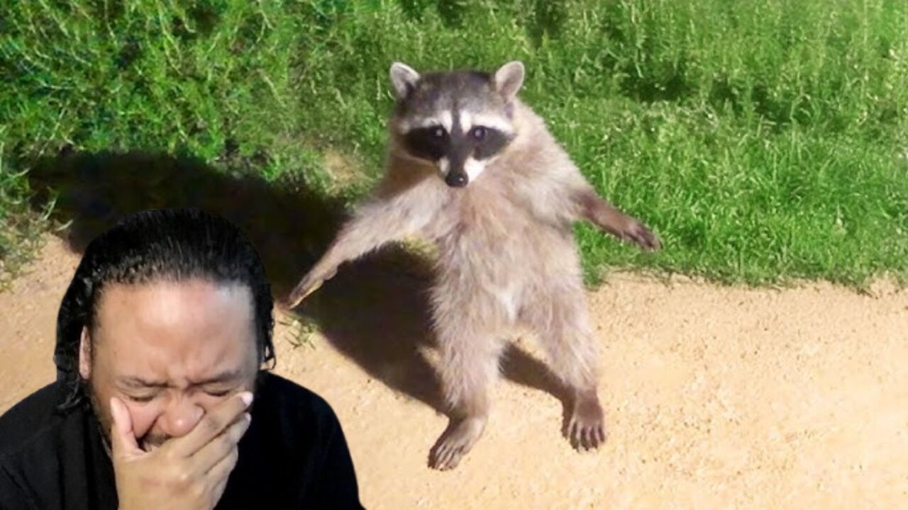Funniest Animals Ever Pt 1 Reaction