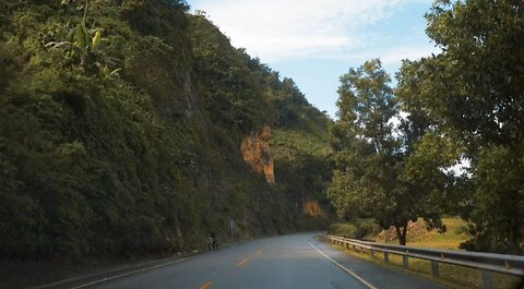 Nature’s Serenity: Mountains, Roads, Sea & Birds.