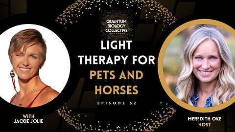 EP 052: Light Therapy For Pets and Horses