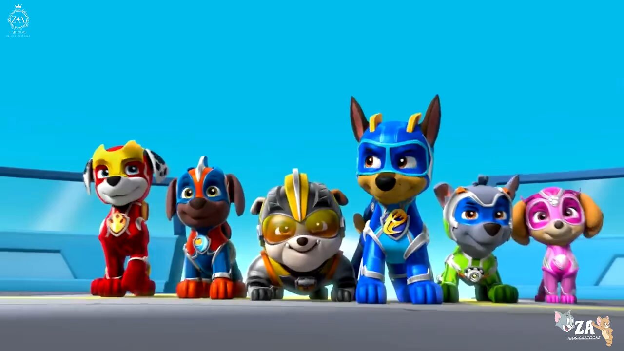 PAW Patrol Cartoons