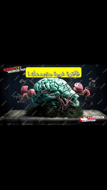 هذه الظاهرة الغريبة: حقائق صادمة ستغير نظرتك #علم_النفس #حقائق_مدهشة #العقل_البشري