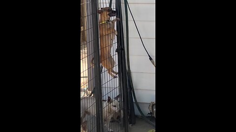 Catch this guy before he gets away!
