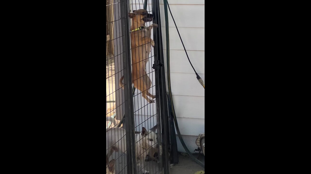Catch this guy before he gets away!