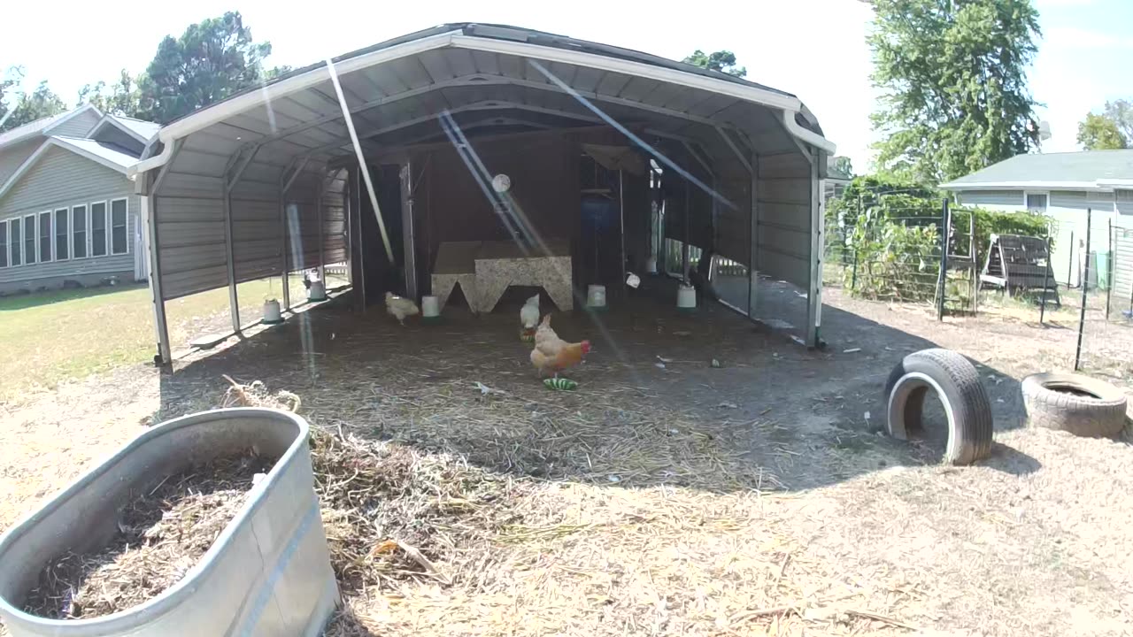 Hot Afternoon, Cold Snack!
