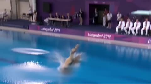 Which Animal Wins the Gold Medal? | Animal Olympics