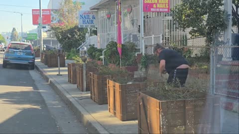 #PLANTERS BOXES NOT PEANUTS