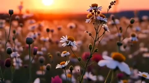 Evening approaches as imperceptibly as old age to a happy person.