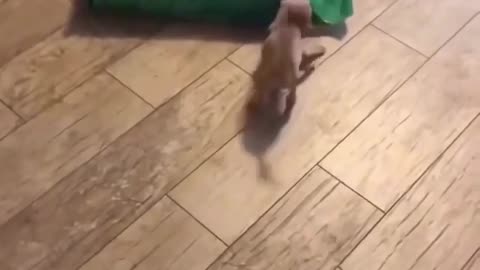 😂💪 I Can Do It! | FunFM