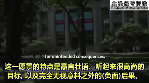 今天的常春藤联盟正在对我们国家造成真正的伤害